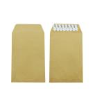Self Seal Kraft Postal Envelope view 2
