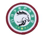 2.5 Inch Patch view 2