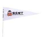 9x6 Inch Pennant With Wooden Stick view 1