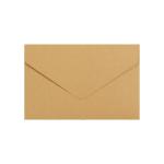 3.875 X 8.875 Inch Envelope view 1