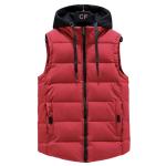 Hooded Sleeveless Quilted Vest view 1