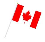 Handheld Flag view 3