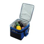Insulated Lunch Cooler view 2