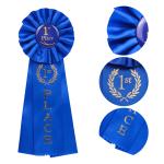 Award Ribbon Pin view 1