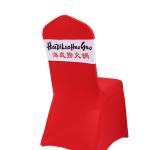 Chair Sleeve Band view 2