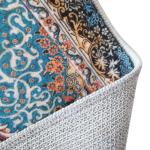 Entrance Rug view 1