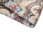 Entrance Rug view 2