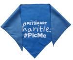 Polyester Triangle Bandanna view 1