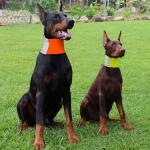 Dog Safety Reflective Bandana Scarf view 4