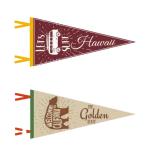 Full-color Triangular Felt Flag view 3