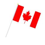 Handheld Custom Flag view 1