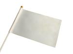 Hand Waving Flag With Stick view 1