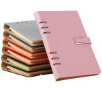 Skeletonized Loose-leaf Binder view 1