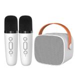 Portable Karaoke Speaker view 1