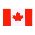 Custom Polyester Large Flag view 1