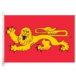 Custom Nylon Large Flag view 2