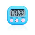 Electronic Timer view 2