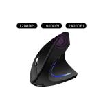 Ergonomic Vertical Mouse view 1
