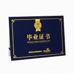 Paper Graduation Certificate Holder view 3
