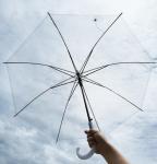 Transparent Umbrella With Customized Logo view 2