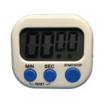 Electronic Timer view 3