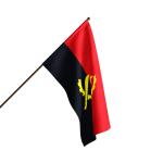 4.5 X 9 Ft National Flag Pole Included view 1