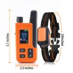 Dog Training Collars Shock Set For Two Dogs view 2