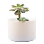 Ceramic Pot With Bamboo Stand view 2
