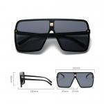 Square Oversized Sunglasses view 2