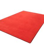 Entrance Rugs Mat view 1