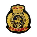 Metallic Thread Embroidered Patch view 3