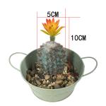 Artificial Cactus-without Flower Pot view 4