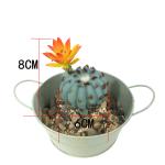 Artificial Cactus-without Flower Pot view 3