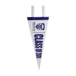 9in Full Color Print Felt Pennant view 1
