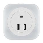 Wall Adapter With Dual Usb Charging Ports view 1