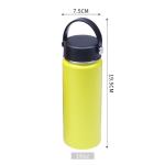 18 Oz Insulated Bottle view 1