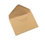 Brown Kraft Envelopes view 1