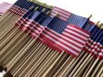 Custom Stick Flag view 2