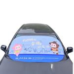 Car Sun Shade view 2