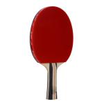 Ping-pong Racket With 3 Balls view 2