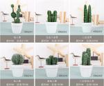 Foam Cactus view 1
