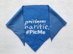 Triangle Bandanna view 2