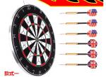 Custom Dart Board view 2